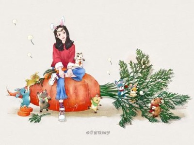 胡萝卜籽精油,精油界中低调隐藏的大咖